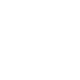 Icona placeholder drone 256x256