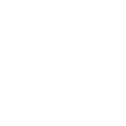 Icona placeholder fotografia 256x256